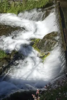 Mountain Creek Waterfall Stampe: At the source of the Lippe in Bad Lippspringe