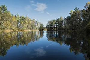 Water Reflections In Europe Stampe: The source of the Neckar River