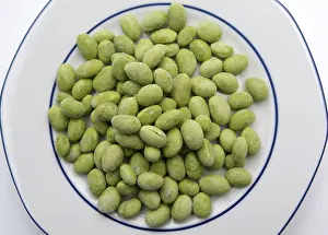 Soybean Nutrition Stampe: Soybeans