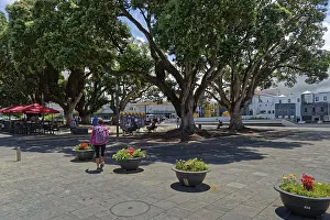 Azores Travel Photography Stampe: A spacious square with large trees