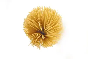 Elevated Studio Shot Stampe: Spaghetti