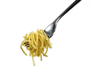 Studio Shot Of Spaghetti Stampe: Spaghetti on a fork