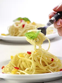 Spaghetti Meal Stampe: Spaghetti with fork