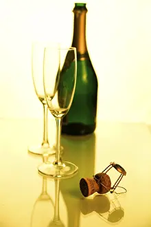 Sparkling Wine Bottle Stampe: Sparkling