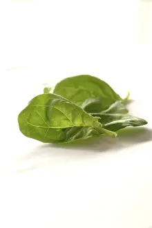 Leafy Greens Nutrition Stampe: Spinach