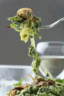 Leafy Vegetable Dish Stampe: Spinach spaetzle on a fork