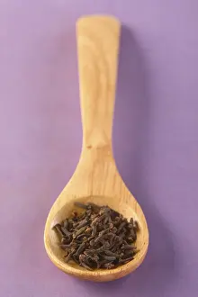 Wooden Cooking Spoon Stampe: Spoon with cloves