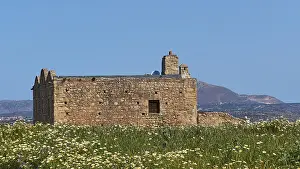 Ancient Greek Ruins Complex Stampe: Spring in Crete, spring meadows