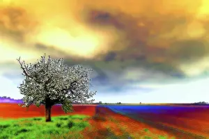 Spring Landscape Photography Stampe: Spring landscape