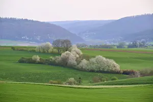 Central European Springtime Stampe: Spring landscape with green fields