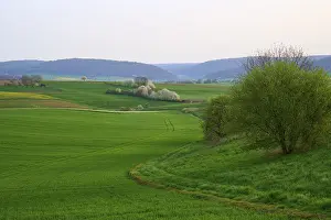 Southern Germany Countryside Scene Stampe: Spring landscape with green fields