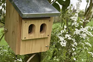 Ecofriendly Nesting Aid Stampe: Spring nesting box, Germany
