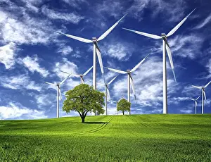 Oak Tree Farming Stampe: Spring Power