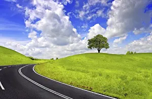 Long Distance Traffic Stampe: Spring road