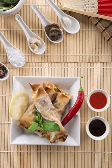 Crustacean Appetizer Stampe: Spring roll