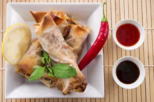 Crustacean Appetizer Stampe: Spring roll