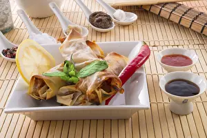 Southeast Asian Food Stampe: Spring roll
