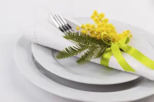 Gastronomy Meal Setup Stampe: Spring table setting with mimosa