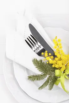 Gastronomy Celebration Stampe: Spring table setting with mimosa easter holidays dinner