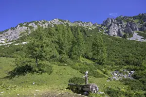 Styria Austria Stampe: Spring trough and Raidling in the background