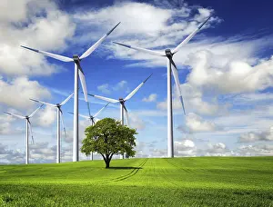 Eco Friendly Energy Source Stampe: Spring Wind