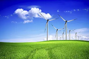 Ecological Awareness Stampe: Spring wind