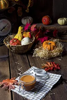 Vegetarian Meal Stampe: Squash soup