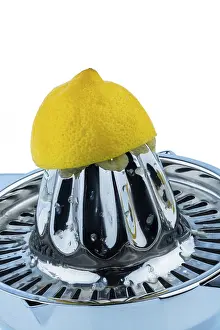 Citrus Fruit Still Life Stampe: A squeezed lemon on a white background