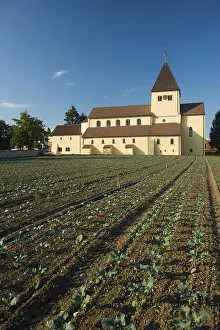 Lake Constance Scenery Stampe: St. George and vegetable fields