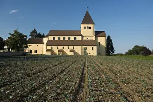Cultivated Area Central Europe Stampe: St. George and vegetable fields