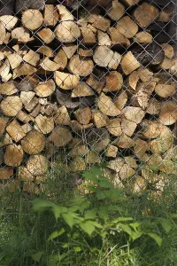 Stack Of Wood Stampe: Stack of firewood as background
