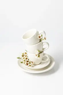 White Ceramic Cups Stampe: Stack of white ceramic cups and a saucer