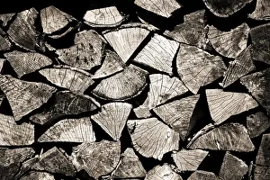 Deserted Wood Stack Stampe: Stack of wood