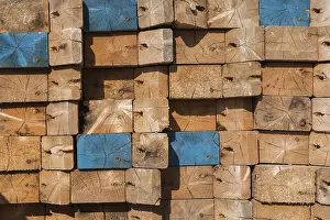 Deserted Canadian Landscape Stampe: Stacked cut rectangular and square pieces of lumber