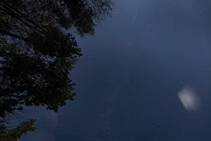 Lower Austria Landscape Stampe: Starry sky with trees, Ternitz