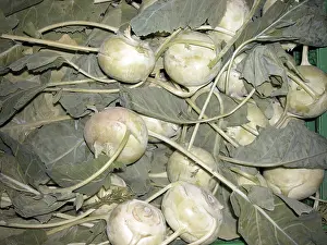 Green Vegetable Stampe: Stem cabbage
