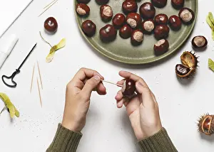 Handicrafts With Children Stampe: Step 2 Insert the toothpick into the chestnut