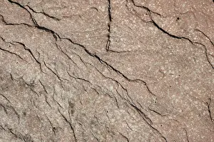 Natural Stone Background Stampe: Stone