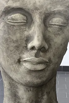Uninhabited Landscape Photo Stampe: Stone face