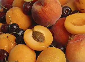 Stone Fruit Nutrition Stampe: Stone fruit