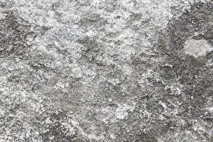 Deserted Wall Scene Stampe: Stone Wall