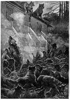 Vintage Wolf Illustration Stampe: Nothing can stop the rage of the beasts