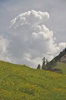 Cumulonimbus Clouds Europe Stampe: Storm cloud, cloud, thunderstorm