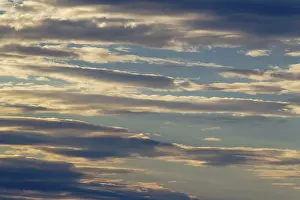 Stratocumulus Cloud Formation Stampe: Stratocumulus clouds in the evening