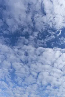 Cloudy Day In Germany Stampe: Stratocumulus clouds (Stratocumulus)