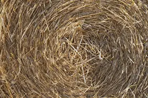 German Hay Bales Stampe: Straw bales, Thuringia, Germany