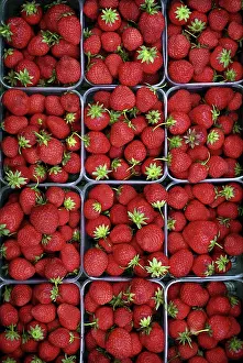 Colorful Fruit Arrangement Stampe: Strawberries in boxes