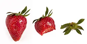 Strawberry Photography Stampe: Strawberry