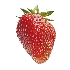Red Strawberry Stampe: Strawberry
