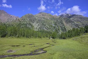 Water Body Landscape Photography Stampe: Stream meanders through a meadow